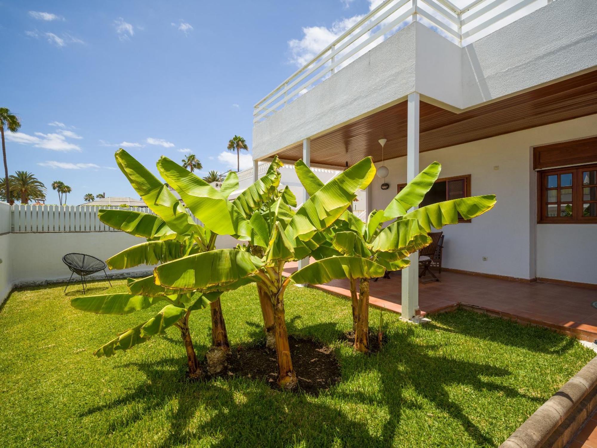 Banana House In Top Location By Tenpropertiesgc Maspalomas  Exterior foto